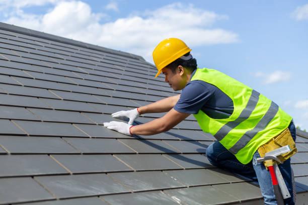 Best Solar Panel Roofing Installation  in Edina, MO